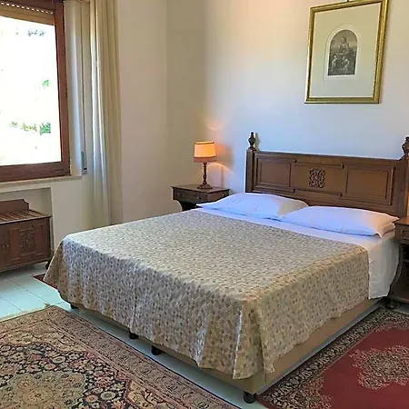 Mediterranee Hotel 4*